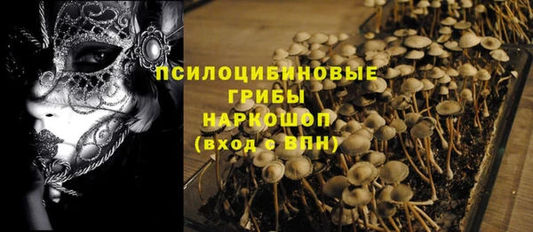 мдпв Балахна