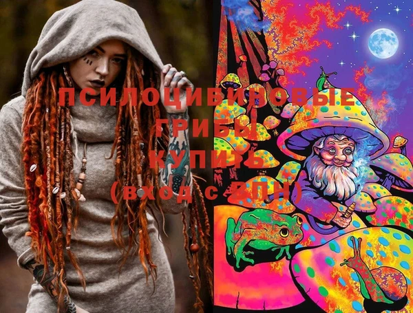 соль ск Аркадак