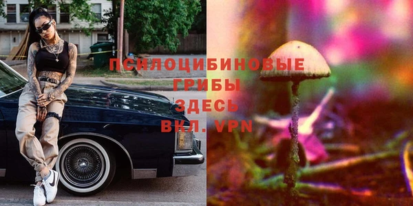 соль ск Аркадак