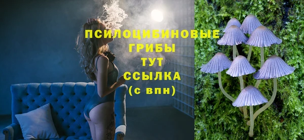 дживик Алексин