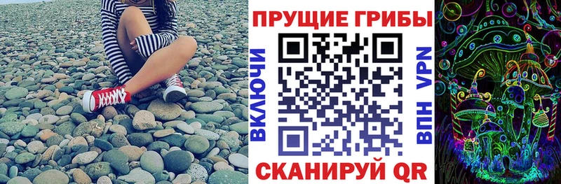 Псилоцибиновые грибы Psilocybine cubensis  Дно 