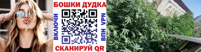 Шишки марихуана ГИДРОПОН  где купить наркотик  площадка как зайти  Дно 